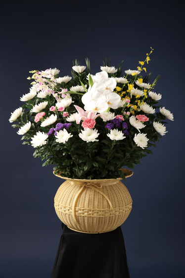 和花 B